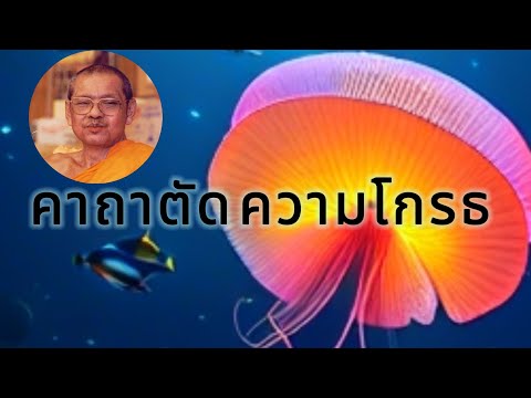 คาถา​ตัด​ความโกรธ​วิปัสสนา