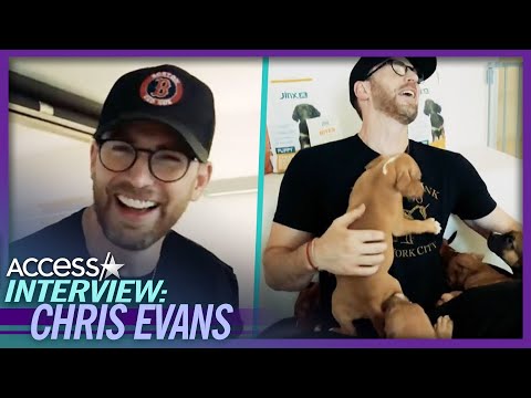 Chris Evans Surprises Rescue Dogs At Shelter With Treats And Snuggles