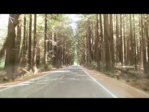 Daniel Norgren Concert Tickets - 2026 Tour Dates.