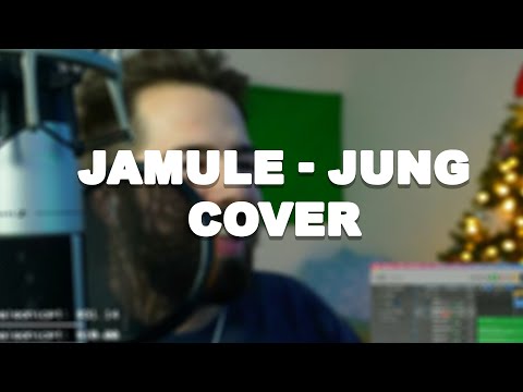 JAMULE - JUNG || COVER by The Friday (Teil 1)