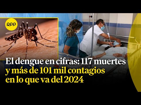 Dengue: decesos llegan a 117 y contagios suman más de 101 mil en lo que va del 2024