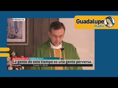 Evangelio de hoy 14/octubre/2024