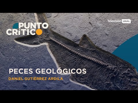 Peces geológicos - Prof. Daniel Gutiérrez Ardila | Punto Crítico