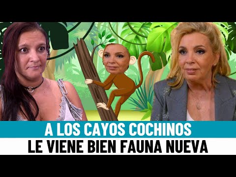 Gema Serrano ATIZA a CARMEN BORREGO: A los Cayos Cochinos le VIENE MUY BIEN tener FAUNA NUEVA