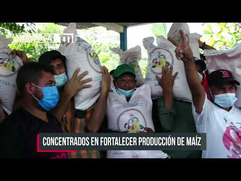 Productores reciben bono de maíz en San Carlos - Nicaragua