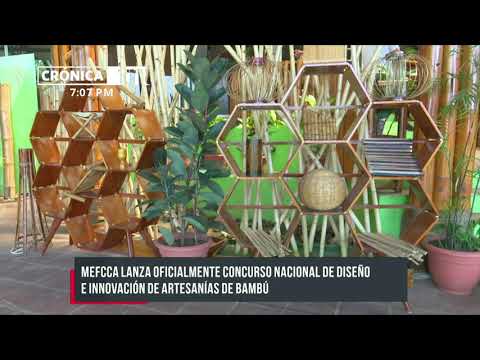 Diseño e innovación con artesanías de bambú, una realidad en Nicaragua