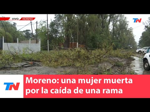Una mujer murió en Moreno tras ser golpeada por la rama de un árbol que se cayó
