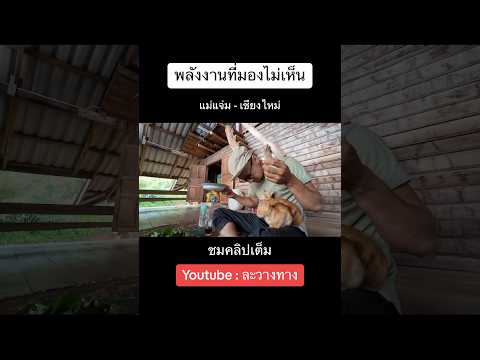 shortvideoshortsละวางทาง