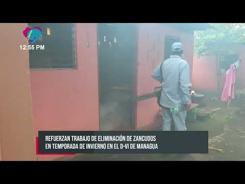 Refuerzan trabajo de eliminación de zancudos en Managua - Nicaragua
