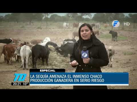 #InformeEspecial | La sequía amenaza al inmenso Chaco paraguayo