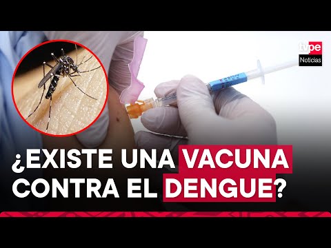 Dengue en Perú: ¿Existe vacuna para combatir la enfermedad?