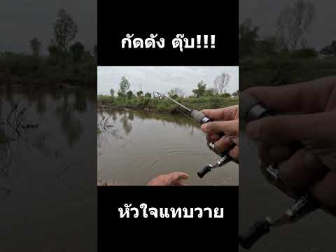 หัวใจจะวายfishingตกปลาตกปลา