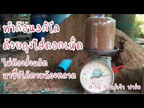 ทำก้อน3กิโลด้วยถุงใส่ดอกเห็ด-ไ ทำก้อน3กิโลด้วยถุงใส่ดอกเห็ด-ไ