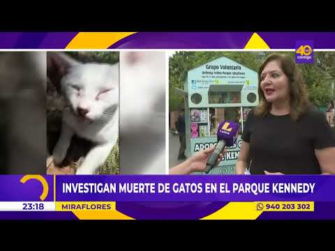 Investigan muerte de gatos en el parque Kennedy