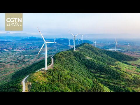 La AIE califica a China como pionera en el desarrollo de energías limpias