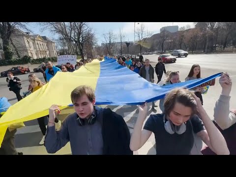Members of Ukrainian community march in Bucharest to mark second anniversary of Russia's full-scale