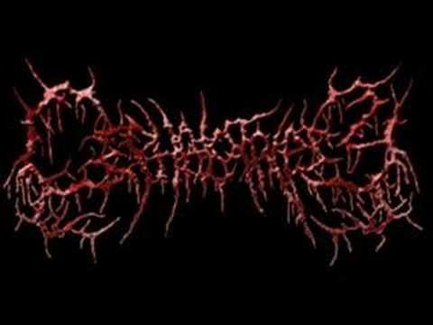 Cephalotripsy Concert Tickets - 2026 Tour Dates