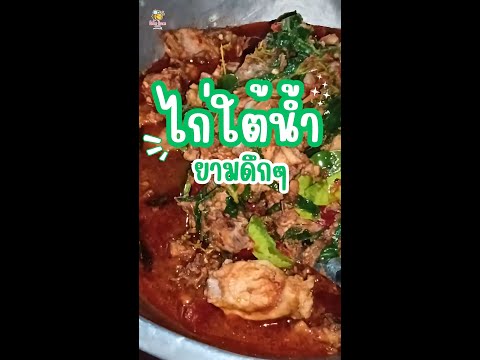 ชีวิตต้องเดินต่อไป!!!ไก่ไต้น้