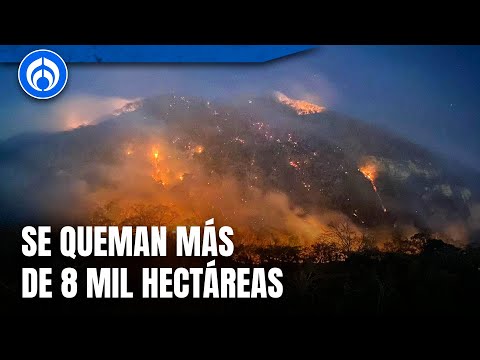 México enfrenta 130 incendios forestales al día de hoy