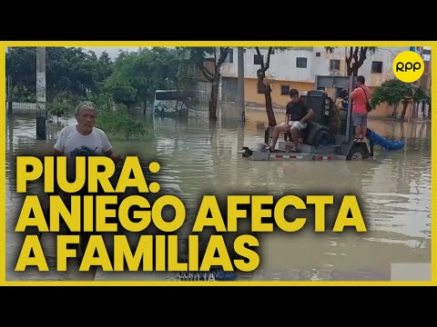 Piura: Familias conviven con piscinas de desagüe y agua de lluvias