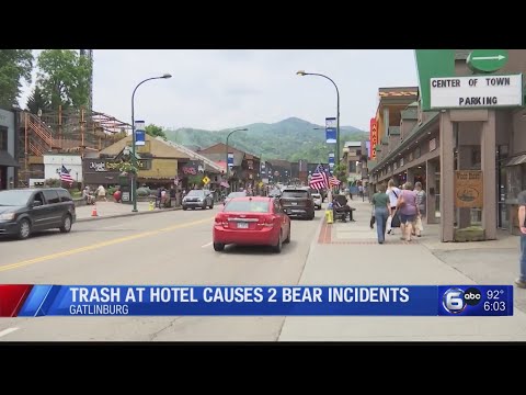 Unsecured trash at Gatlinburg hotel causes 2 bear incidents in 8 days