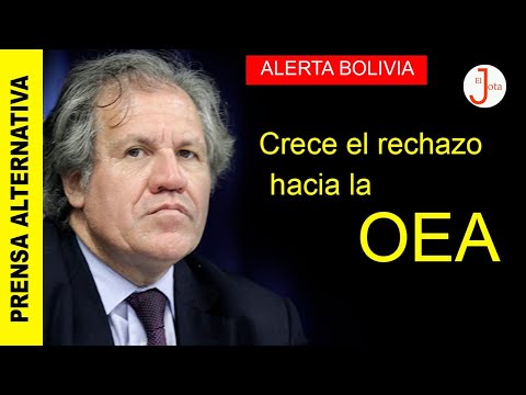 ¡Miles de ciudadanos firman para que la OEA se vaya de Bolivia!