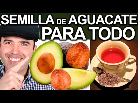 SEMILLA DE AGUACATE MOLIDA TODOS LOS DIAS - RECETA SECRETA REVELADA!