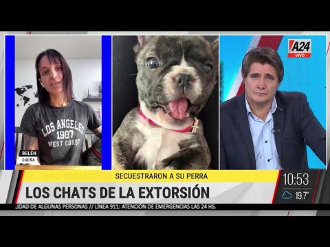 Lomas de Zamora: robaron a su perra y los extorsionan por whatsapp