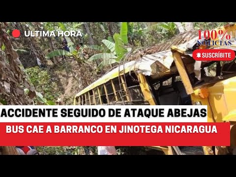 Cuatro muertos por picaduras de abejas al caer bus a barranco en Yalí, Jinotega