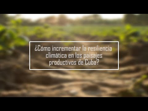 Resiliencia climática en paisajes productivos: ¿Qué desafíos aparecen para Cuba