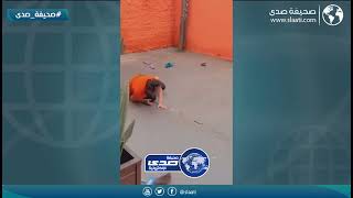 ضاعت علومها