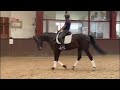 Cheval de dressage 7 years old mare (PSG)