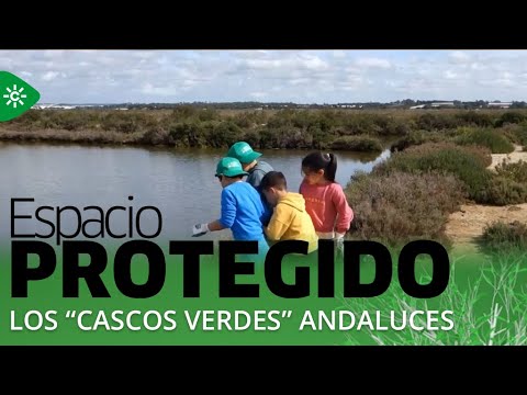 Espacio protegido |  Los “cascos verdes” andaluces