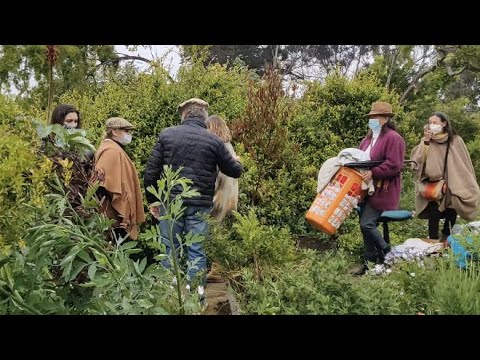 Desalojo en pandemia: Fisco le remató la casa por tres contribuciones impagas