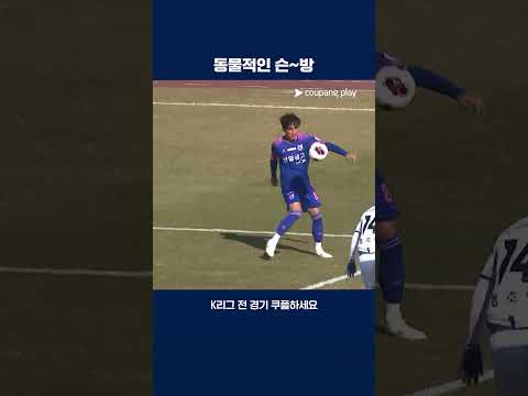 오버헤드킥 선방을 보여준 김준홍 키퍼 | 2026 K리그2 | 파주 vs 수원