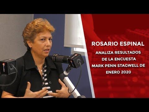 Rosario Espinal analiza resultados de la encuesta Mark Penn Stagwell de enero 2020