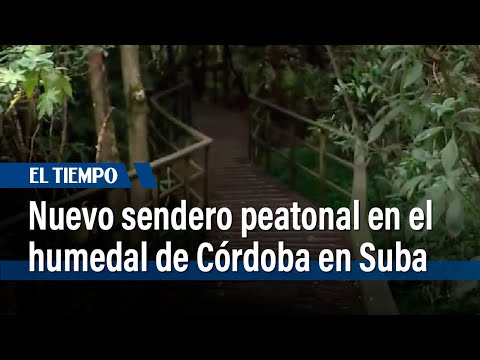 Abren sendero peatonal en humedal de Córdoba: nueva atracción para avistar aves | El Tiempo