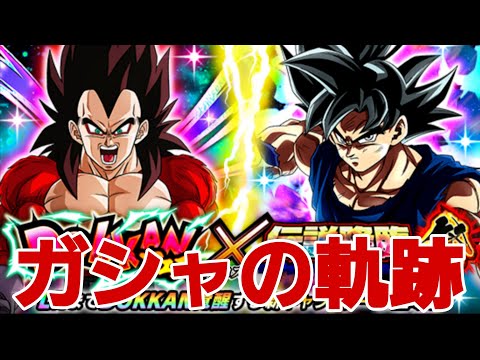 『刮目せよ』11周年後半ガシャの軌跡‼【ドッカンバトル】