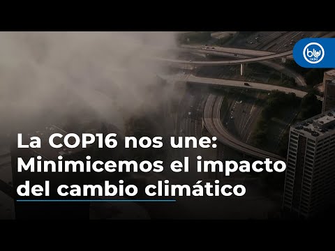 La COP16 nos une: minimicemos el impacto del cambio climático