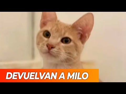 ¡SIN CORAZÓN! Los emboscaron para robarles y les llevaron hasta el GATO, que es intensamente buscado