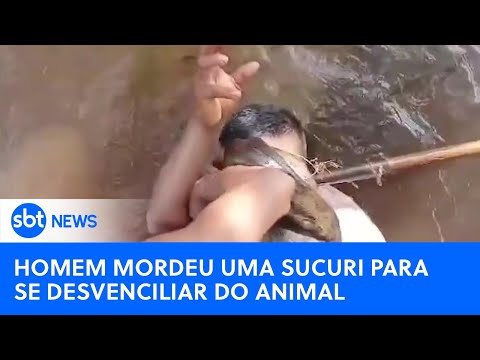 Homem morde sucuri para escapar de ataque no Pará | #SBTNewsnaTV (02/10/24)