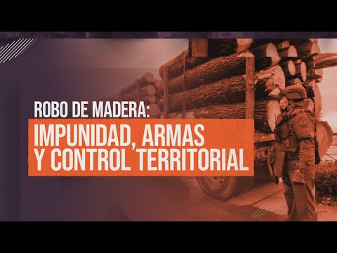 Robo de madera en el sur de Chile: impunidad, armas y control territorial
