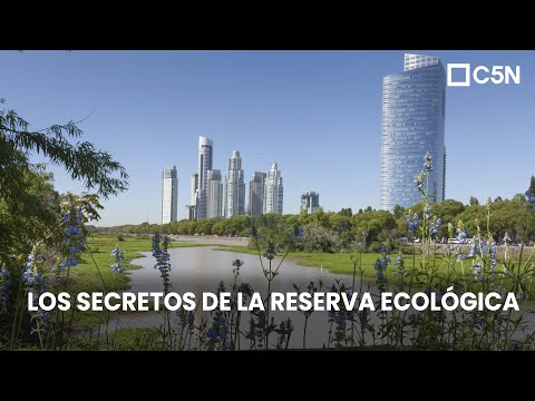 Los SECRETOS de la RESERVA ECOLÓGICA de COSTANERA SUR de BUENOS AIRES