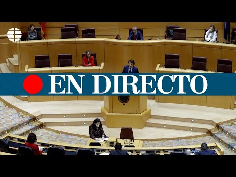 DIRECTO CORONAVIRUS | Senado: sesión de control al Gobierno