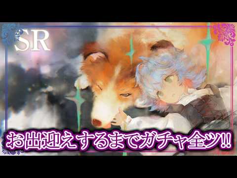 【メメントモリ】シロお出迎えするまでガチャ全ツッパ!【メメモリ】