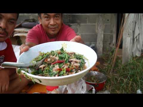 ผัดกระเพราปลาหมึกหมูสับแซ่บสูต ผัดกระเพราปลาหมึกหมูสับแซ่บสูต