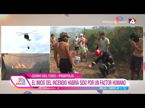 Buen Día - Policiales: Actualización de noticias 26/1