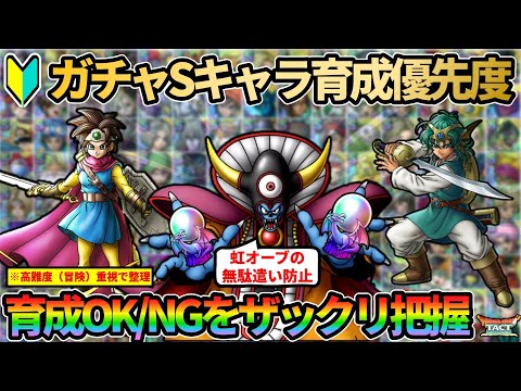 【ドラクエタクト】🔰ガチャで当たったら育てたいSランク育成優先度をザックリ80点くらいで把握する回（貴重な育成素材を無駄にしないため）