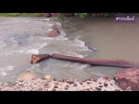 กางเต็นท์ทำอาหารกลางคืนฝนตกเย็