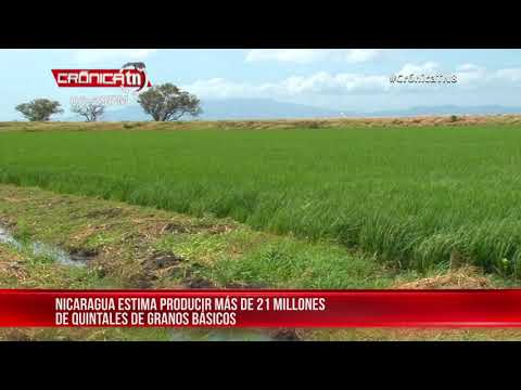 Nicaragua potenciará la producción agropecuaria con intercambio de experiencias